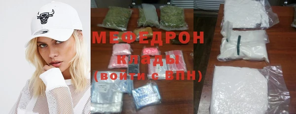 индика Беломорск