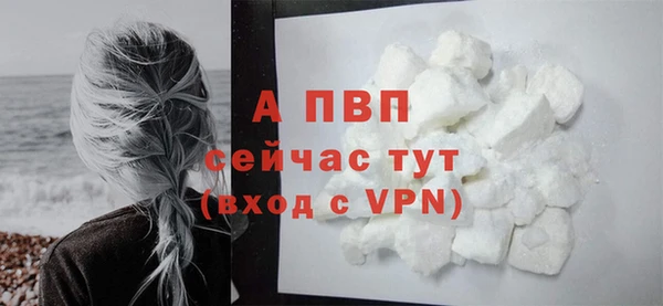 индика Беломорск