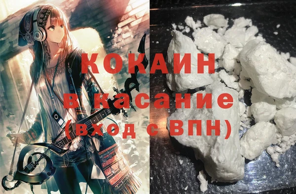 индика Беломорск