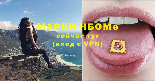 индика Беломорск