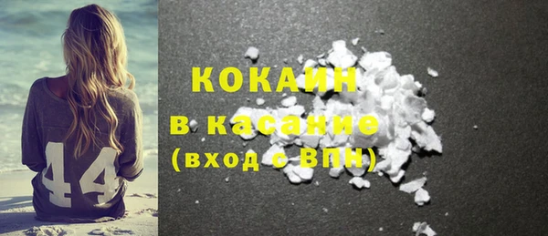 индика Беломорск