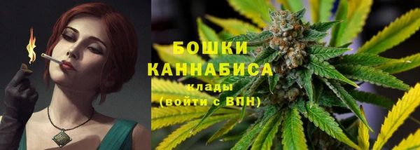 индика Беломорск