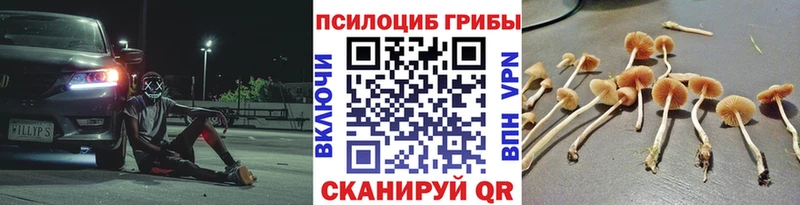 omg ТОР  купить   Вольск  Псилоцибиновые грибы MAGIC MUSHROOMS 